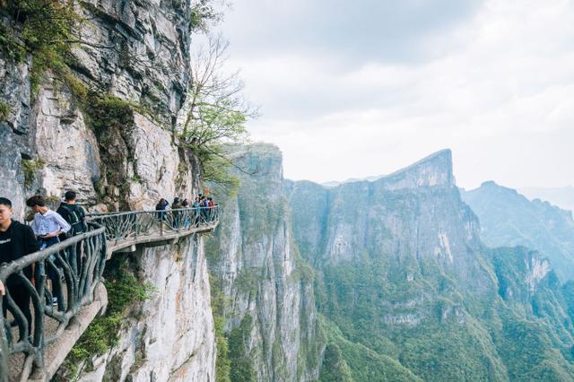 張家界自駕還是跟團游？哪種旅行方式更適合你？，張家界旅行方式選擇，自駕還是跟團？哪種更適合你？