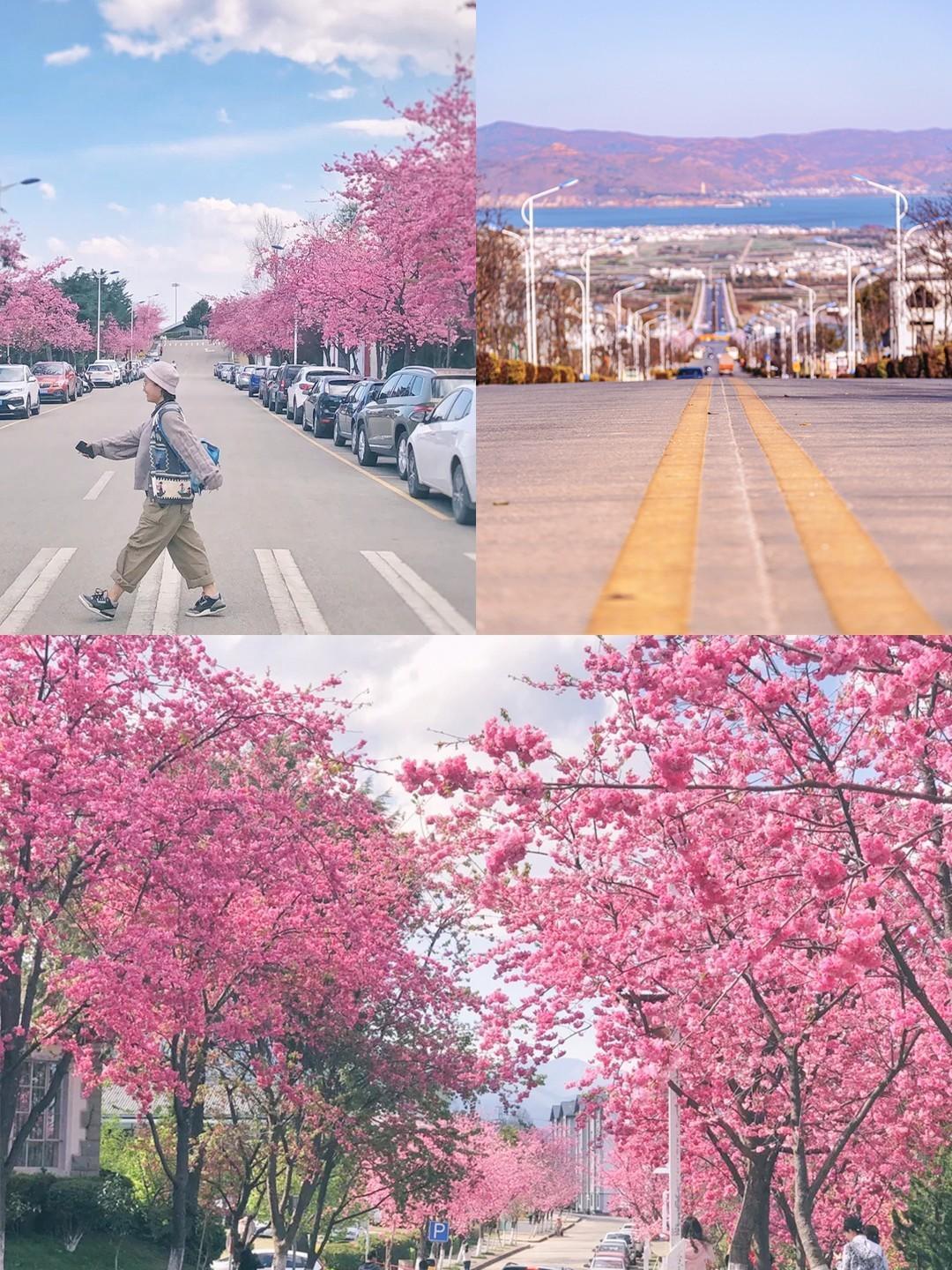 云南麗江旅游攻略，探索美麗的秘境之旅，云南麗江秘境探索之旅攻略