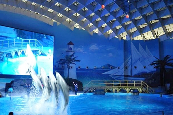 武漢海洋館門票價格詳解，武漢海洋館門票價格全解析