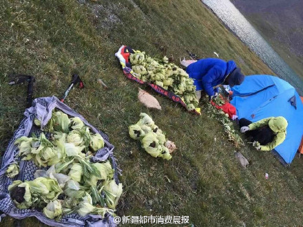 戶外資料網(wǎng)驢友論壇，探索、分享與連接的橋梁，戶外資料網(wǎng)驢友論壇，探索、分享與連接的戶外旅行橋梁