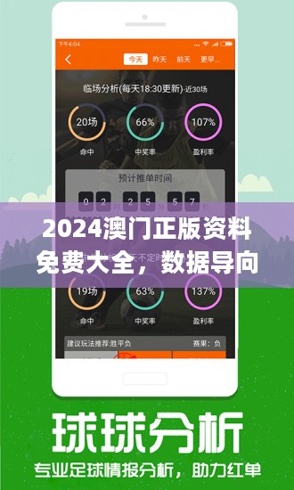 新澳精準(zhǔn)資料免費(fèi)提供，探索第510期的奧秘與價(jià)值，新澳第510期精準(zhǔn)資料探索，奧秘與價(jià)值揭秘