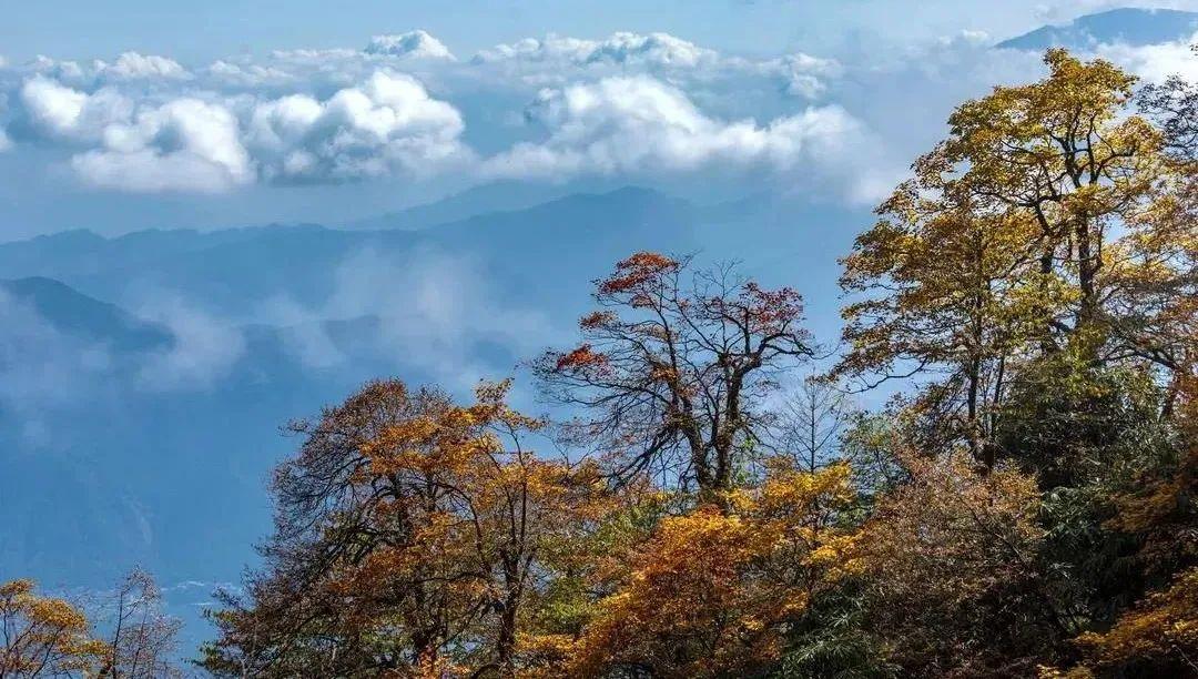 國慶自駕游，探索適合你的旅游目的地，國慶自駕游，探尋最佳旅游目的地