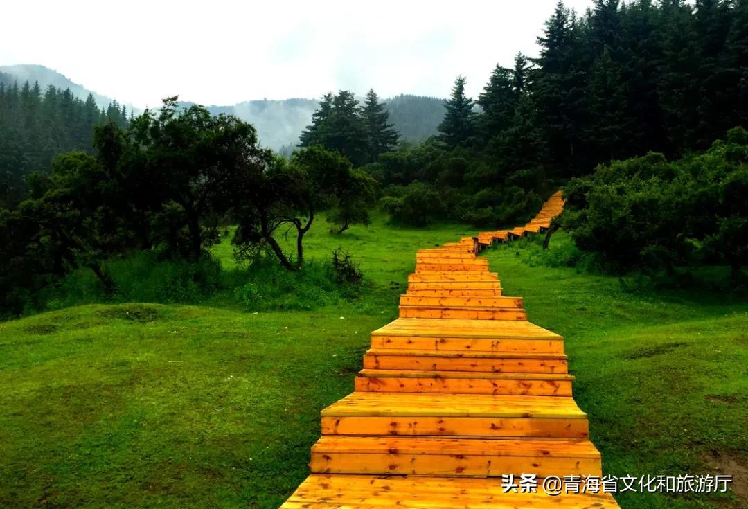 西寧旅游景點大全，探索高原城市的魅力所在，西寧高原魅力之旅，景點大全探索