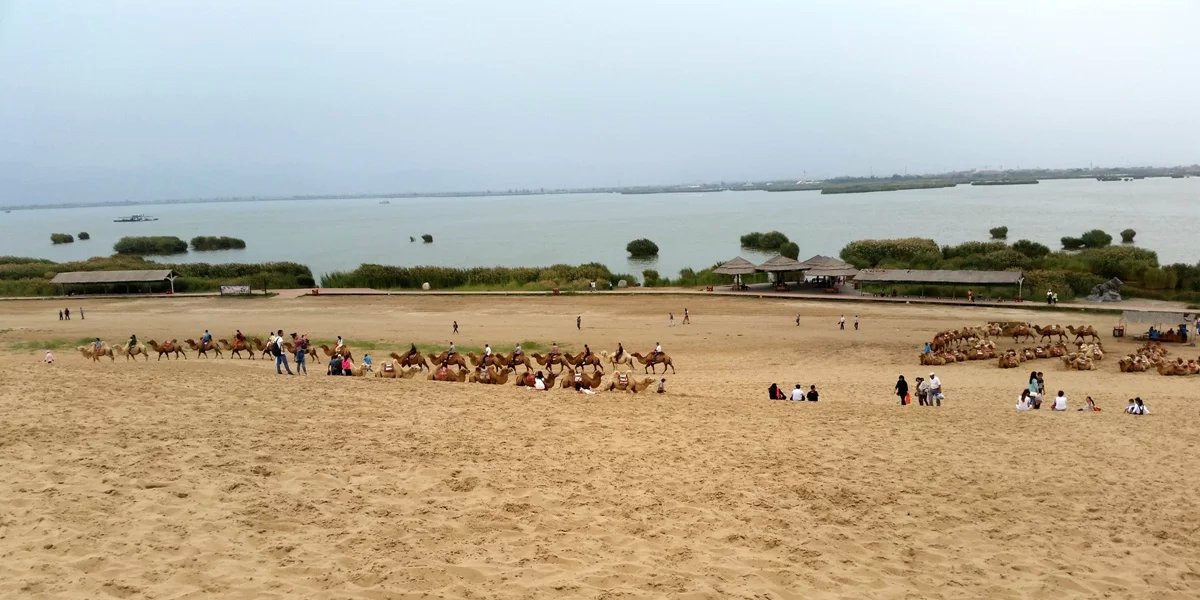 沙湖游玩全攻略，探索美景，盡享樂趣，沙湖游玩全攻略，探索美景，盡享樂趣之旅