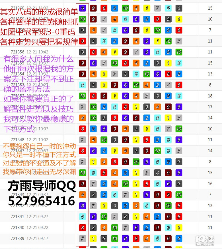 王中王白姐一肖，探尋背后的故事與神秘魅力，王中王白姐一肖，背后的故事與神秘魅力揭秘