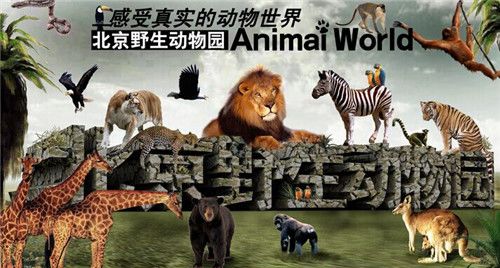 香港 第166頁