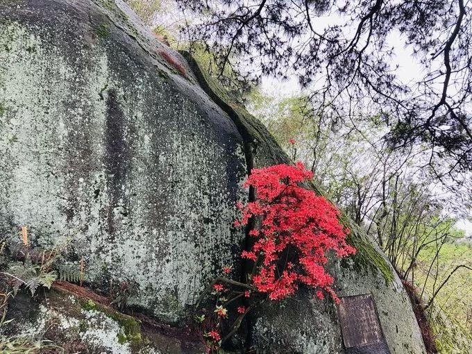 南岳衡山一日游攻略，探索神秘之旅，南岳衡山一日游，神秘之旅攻略探索全攻略