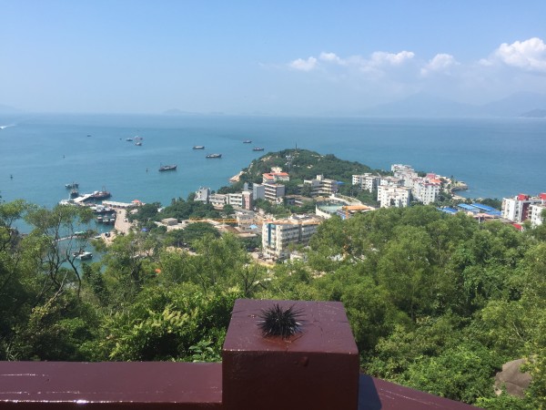 珠海外伶仃島一日游費用詳解，珠海外伶仃島一日游費用全解析