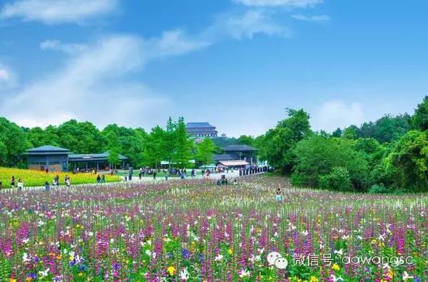 石象湖景區(qū)門票價格詳解，石象湖景區(qū)門票價格全面解析