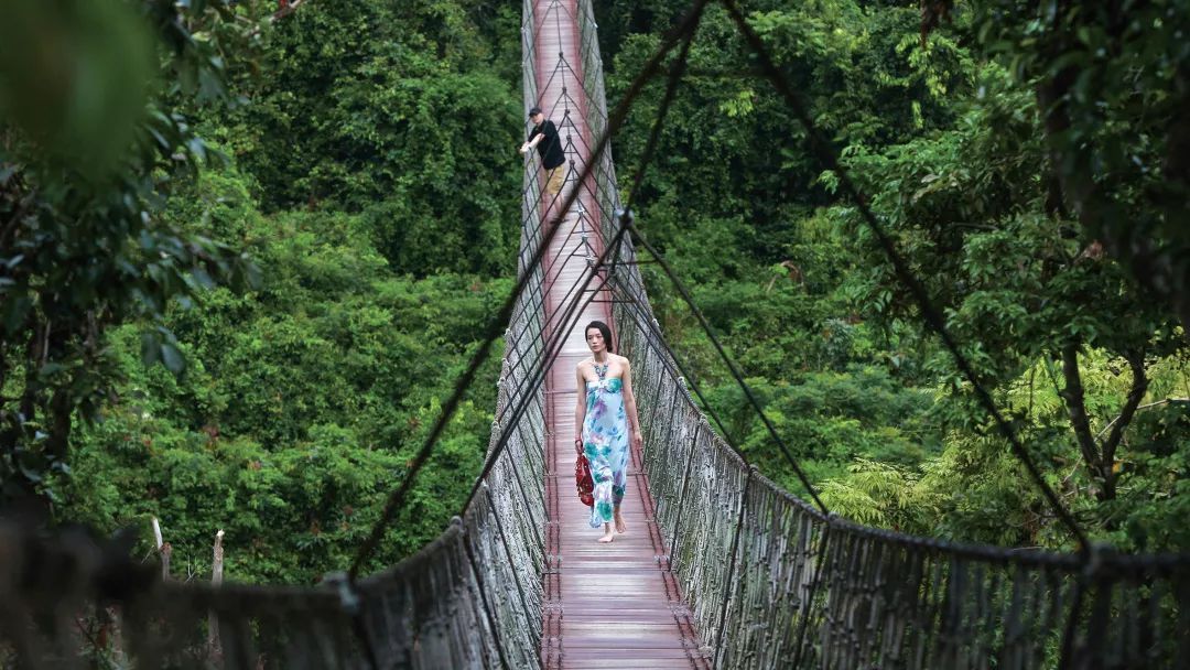 亞龍灣熱帶天堂森林公園攻略，探索熱帶雨林的奧秘，亞龍灣熱帶天堂森林公園攻略，熱帶雨林奧秘探索之旅