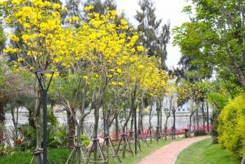 廈門公園排名，探索城市綠肺的最佳去處，廈門公園排名榜，城市綠肺的最佳探索地