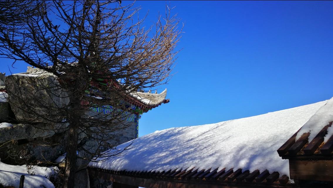 太白山國家森林公園一日游攻略，探索自然之美的絕佳體驗，太白山國家森林公園一日游攻略，自然之美的極致探索