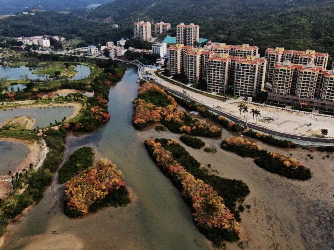 深圳大鵬半島旅游攻略，探索自然之美與文化的融合，深圳大鵬半島，自然之美與文化融合之旅的旅游攻略