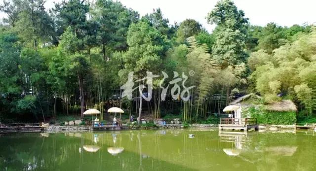高品質(zhì)住宿體驗(yàn)