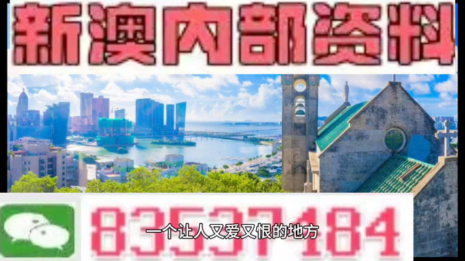 新澳門(mén)碼資料49圖庫(kù)，探索與解析，新澳門(mén)碼資料49圖庫(kù)，深度探索與解析