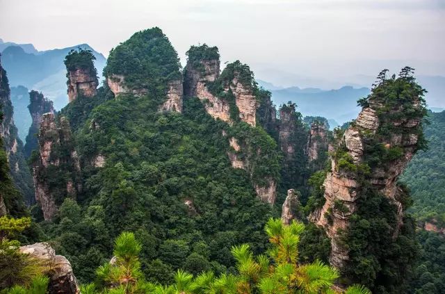 張家界真實(shí)圖片展示，自然美景盡收眼底，張家界自然美景真實(shí)圖片展示，壯麗風(fēng)光盡收眼底
