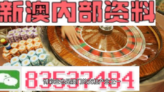 新澳門最精準(zhǔn)——探索澳門的精準(zhǔn)魅力，澳門魅力揭秘，精準(zhǔn)探索之旅
