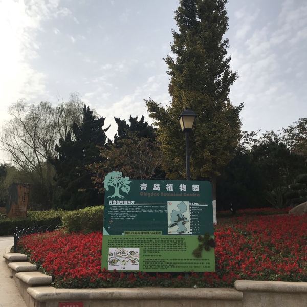 植物園門票價格及參觀指南，植物園門票價格與參觀攻略指南