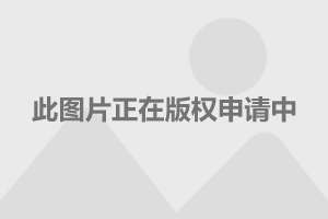 登封少林寺門票價格詳解，登封少林寺門票價格全面解析