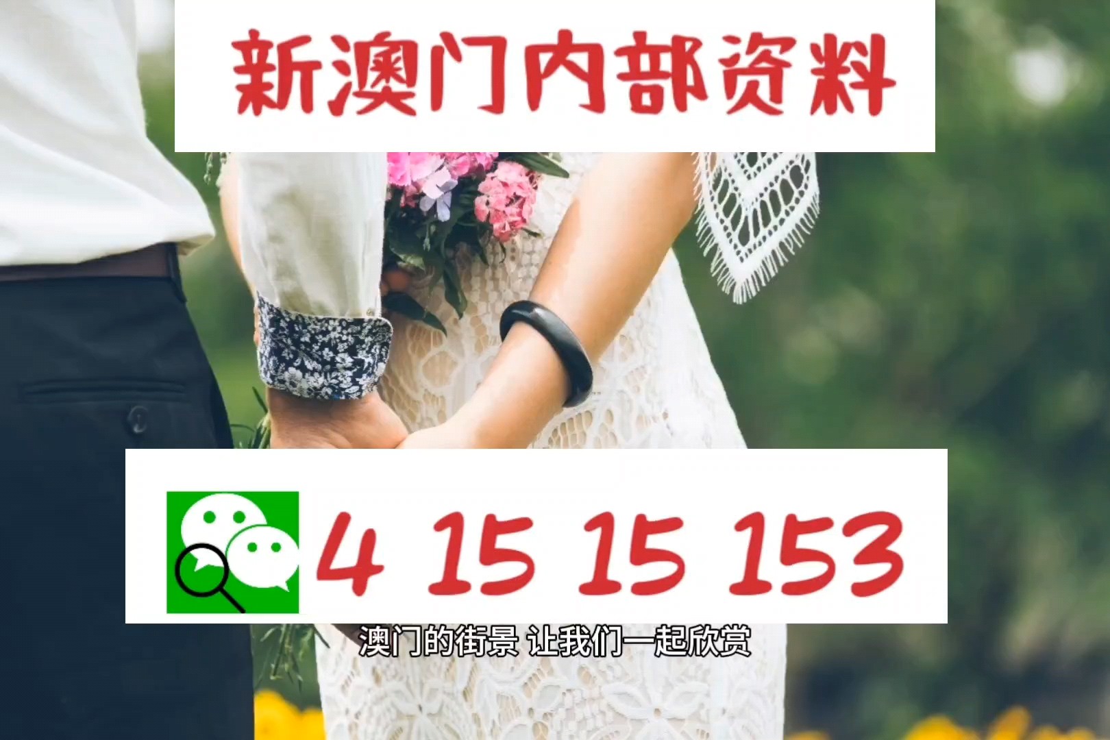新澳新澳門正版資料，探索與解析，新澳新澳門正版資料深度解析與探索