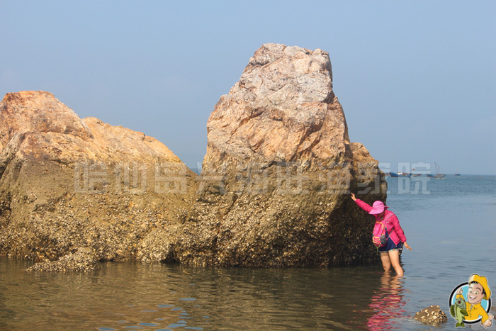 大連哈仙島旅游攻略方案，大連哈仙島旅游攻略全解析