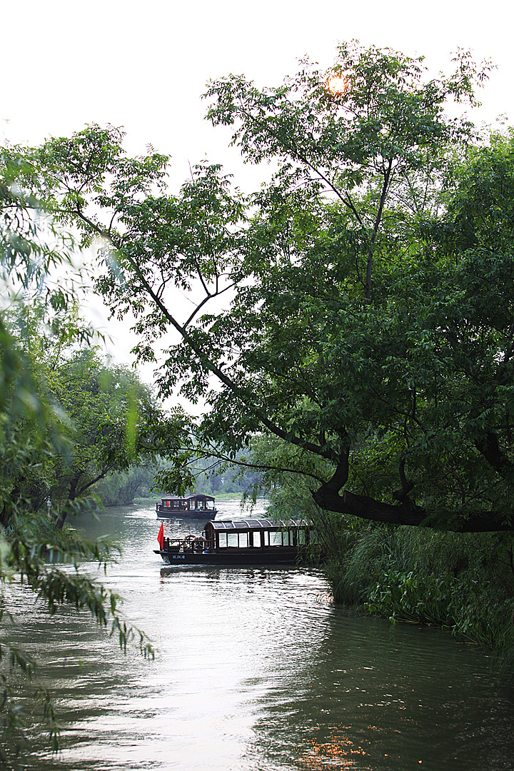 杭州西溪濕地公園，自然美景盡收眼底，杭州西溪濕地公園，自然美景一覽無遺