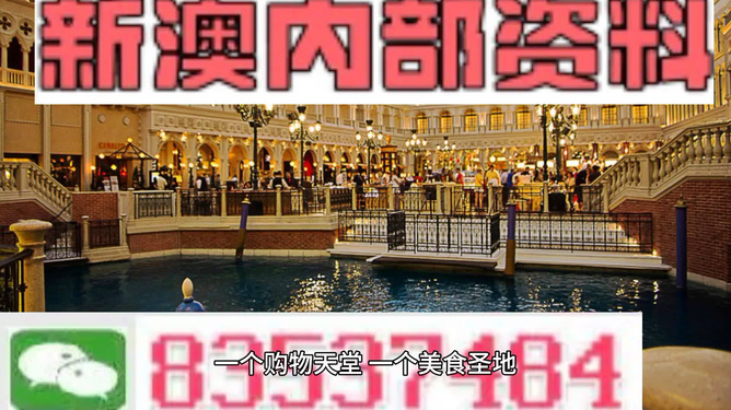 新澳門內(nèi)部正版資料大全——探索與解讀，澳門內(nèi)部正版資料大全，深度探索與解讀