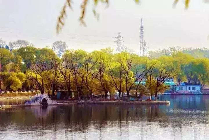 南海子公園游玩攻略，盡享自然之美，南海子公園游玩指南，自然之美的盡情感受