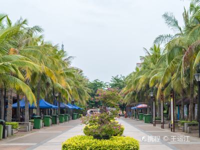 海口動物園門票價格詳解，多少錢，值得去嗎？，?？趧游飯@門票價格全解析，值得一游嗎？