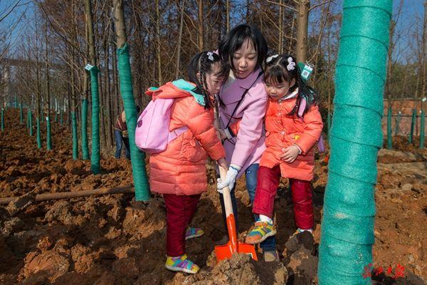 廈門園博園是否需要門票？全面解析園博園門票政策及參觀攻略，廈門園博園門票政策及參觀攻略解析，是否需要門票？