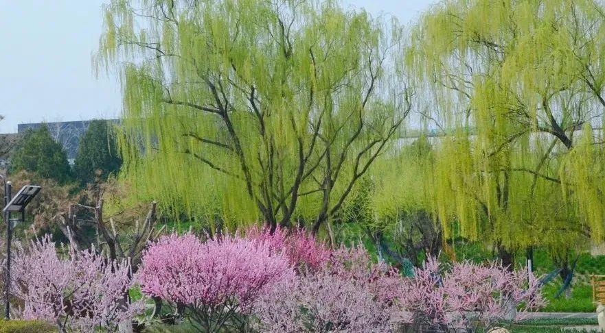 北京花卉大觀園門票免費攻略，暢游花海的好時機，北京花卉大觀園免費門票攻略，暢游花海的最佳時機