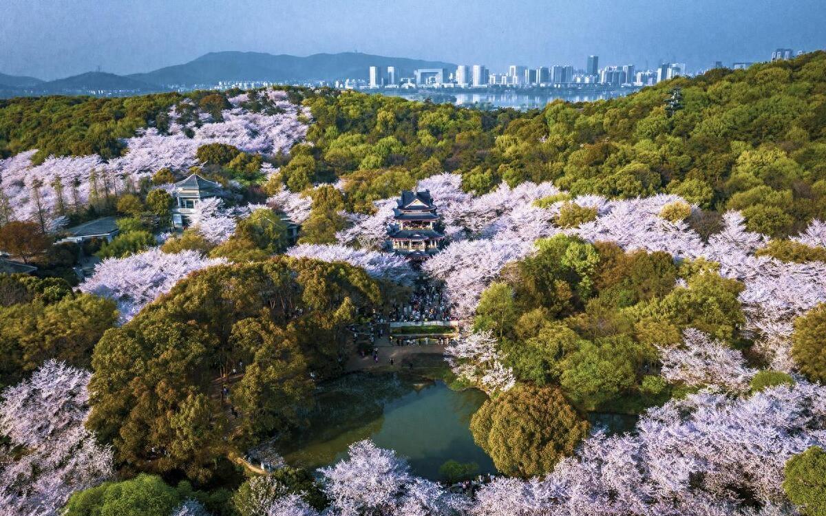 無(wú)錫太湖黿頭渚門(mén)票信息及游玩攻略，無(wú)錫太湖黿頭渚門(mén)票信息與游玩攻略大全