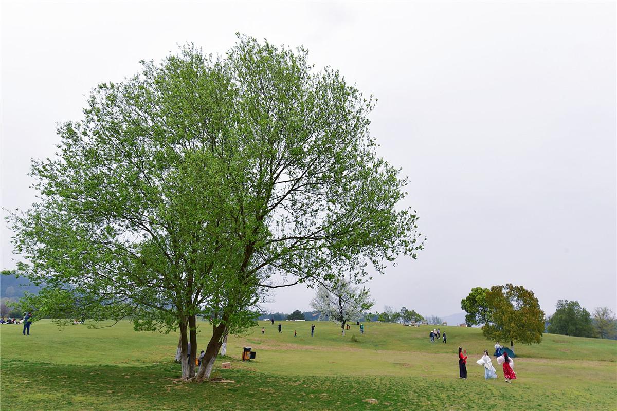 武漢風(fēng)景區(qū)有哪些好玩的地方——深度探索武漢的美麗角落，深度探索武漢風(fēng)景區(qū)，揭秘城市美麗角落的絕佳游玩地