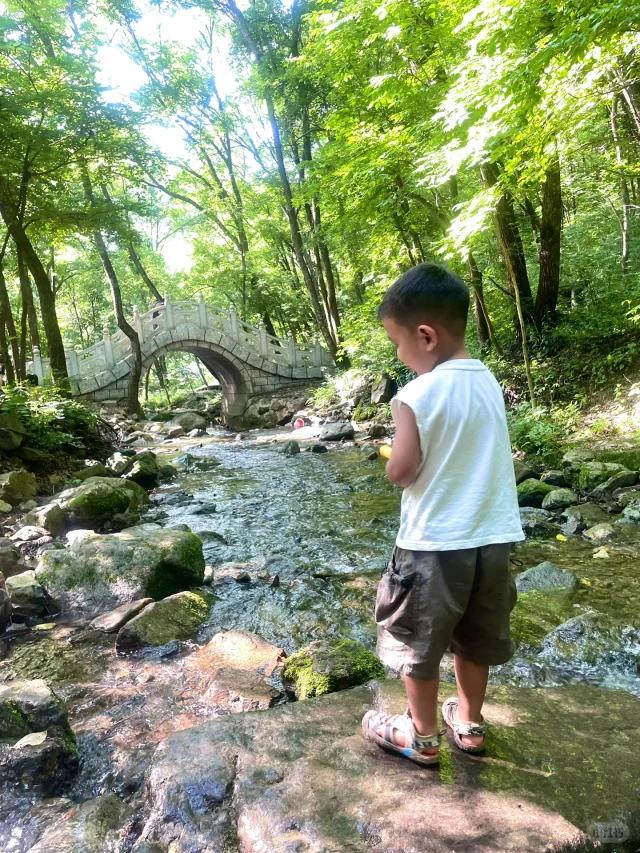 夏天帶孩子避暑最佳旅游地——尋找最佳避暑勝地，與孩子共度清涼夏日，夏天帶孩子避暑最佳旅游地——共度清涼夏日，探尋最佳避暑勝地
