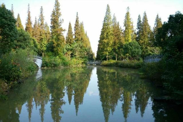 崇明東平國(guó)家森林公園門票攻略，探索自然之美的入場(chǎng)券，崇明東平國(guó)家森林公園門票攻略，探索自然美景的必備入場(chǎng)券