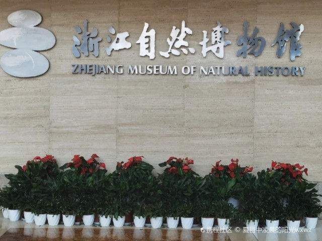 杭州自然博物館參觀需預(yù)約嗎？——詳解預(yù)約制度與參觀指南，杭州自然博物館預(yù)約制度詳解及參觀指南介紹