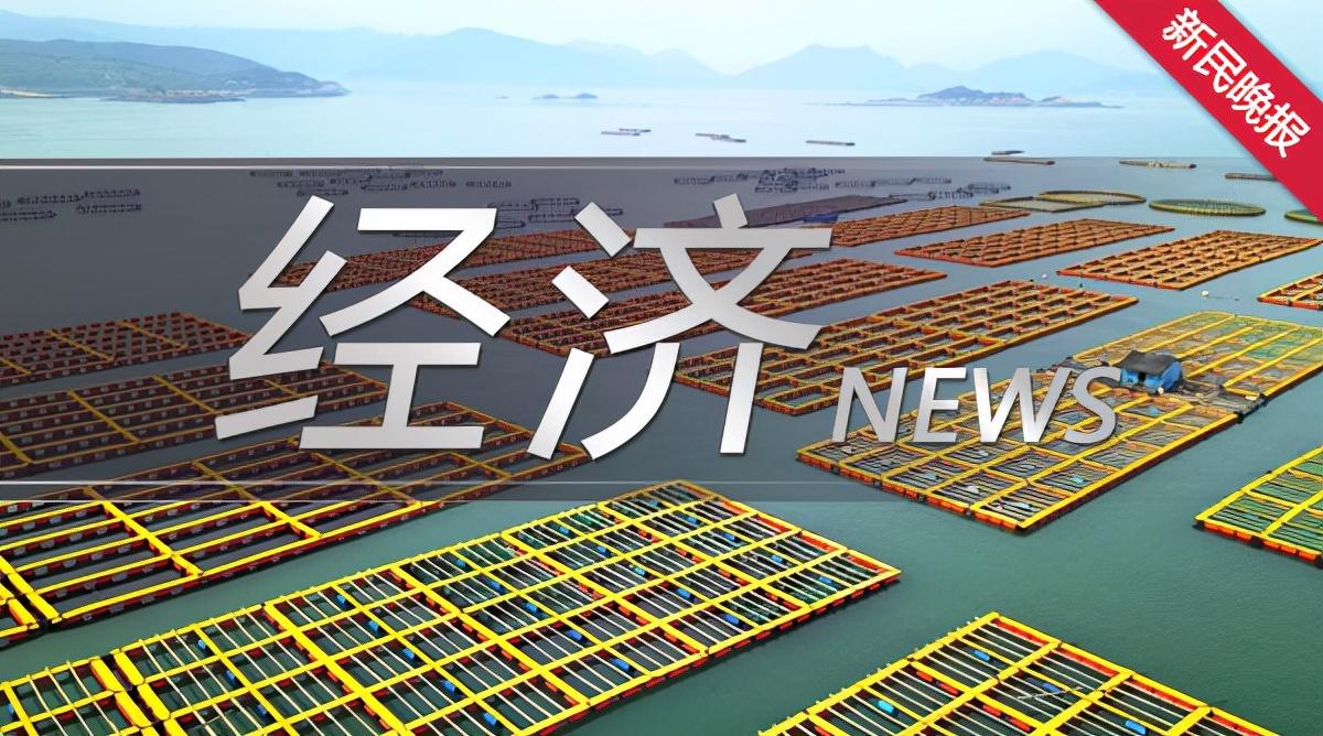 新民片年軍2新，全面解析與SEO優(yōu)化策略，新民片年軍2新全面解析及SEO優(yōu)化策略指南