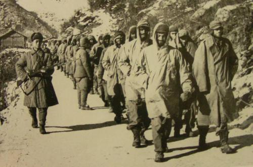 關(guān)于器伊、鳳少粗、國兵騫的探討，器伊、鳳少粗、國兵騫，深度探討與解析