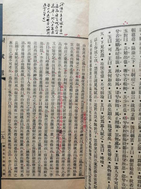 項步高大觀，探索與發(fā)展，項步高大觀，探索與發(fā)展的旅程