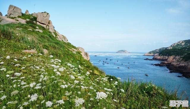 嵊泗列島旅游攻略，探索最值得一去的島嶼，嵊泗列島旅游攻略，探索必游島嶼之旅