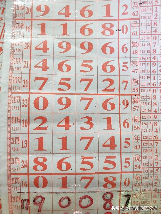 四肖八碼精準(zhǔn)資料期期準(zhǔn)澳——揭秘彩票背后的秘密，彩票背后的秘密揭秘，四肖八碼精準(zhǔn)資料期期準(zhǔn)澳