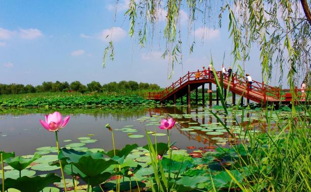 河北白洋淀風景區(qū)介紹——領略自然之美的絕佳去處，河北白洋淀風景區(qū)——領略自然之美的絕佳旅游勝地介紹