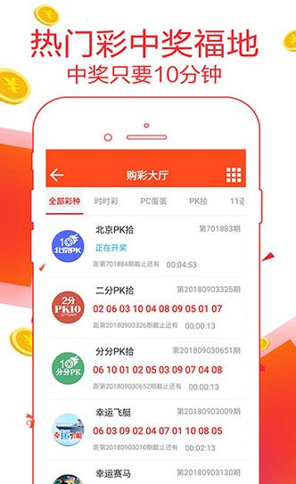 2025年澳門王中王100%資料詳解，澳門王中王2025年資料詳解手冊