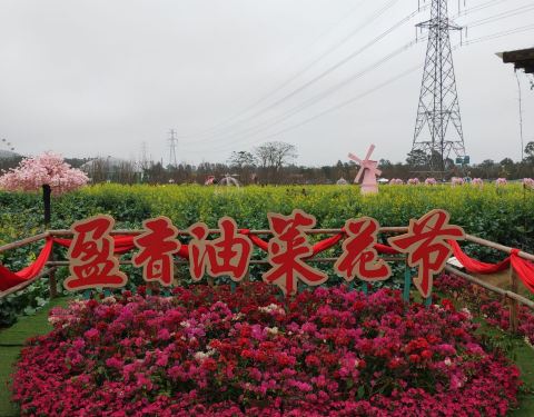 盈香生態(tài)園旅游攻略，探索自然之美的絕佳去處，盈香生態(tài)園，自然之美的探索之旅攻略
