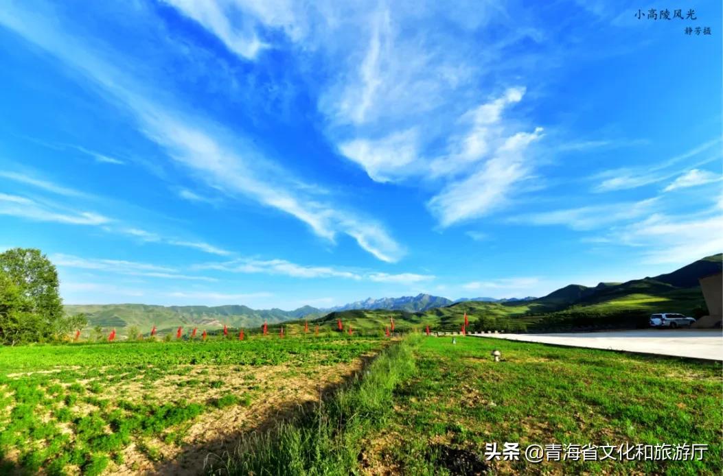 西寧旅游景點排名，探索高原之城的魅力所在，西寧旅游景點排行榜，高原之城的魅力探索