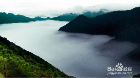 江西武夷山旅游攻略，自助游的絕佳選擇，江西武夷山自助游攻略，絕美旅行目的地，你的絕佳選擇