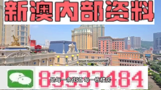 新澳門最精準(zhǔn)正最精準(zhǔn)龍門，探索與揭秘，新澳門最精準(zhǔn)正龍門探索揭秘攻略