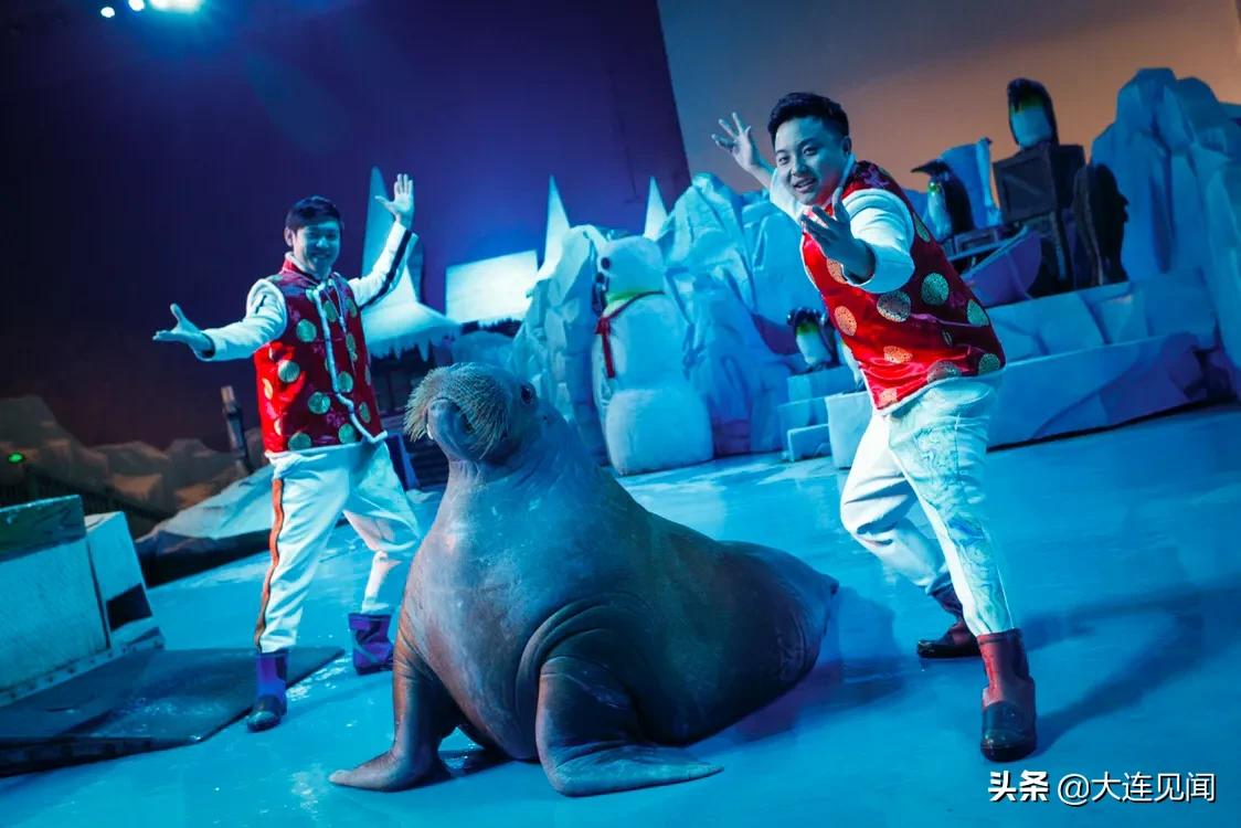 圣亞海洋世界門票價格詳解，圣亞海洋世界門票價格全解析