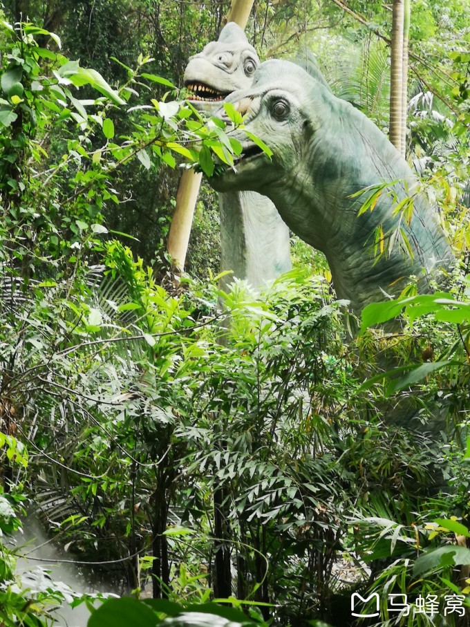 廣州長隆野生動物園門票價格及購買攻略，廣州長隆野生動物園門票價格與購買攻略全解析