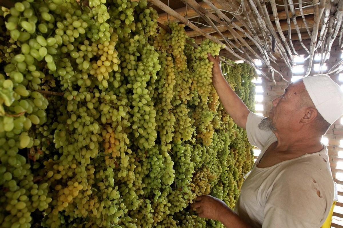 西安旅行社一覽，探索古都的絕佳選擇，西安旅行社概覽，探索古都西安的絕佳旅行伙伴